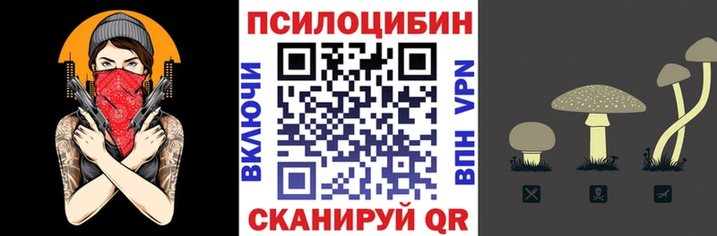 Псилоцибиновые грибы Magic Shrooms  закладка  Кирс 